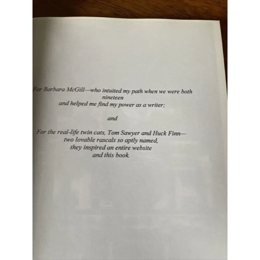 The New Adventures of Tom Sawyer and Huck Finn Paperback Lisa Mannetti 2011